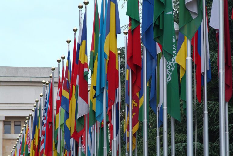 A new multilateralism for the post-COVID world: What role for the EU-Africa partnership